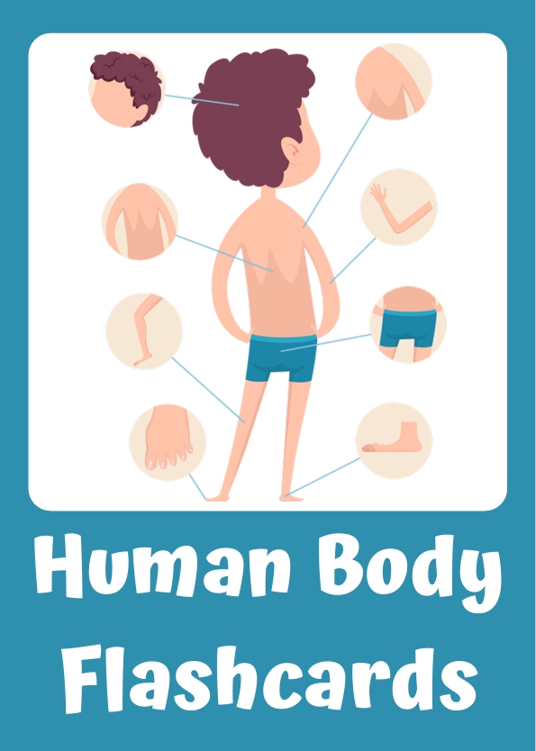 Screenshot_11-9-2025_154616_